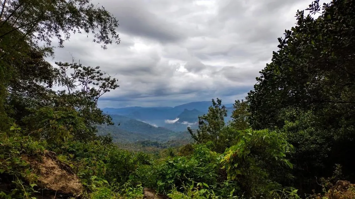 The Grand Trees Bed & Breakfast Munnar India